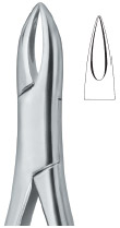 Tooth Extracting Forceps|(amr)